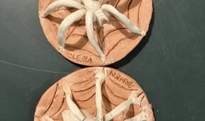 bas relief présentant une araignée